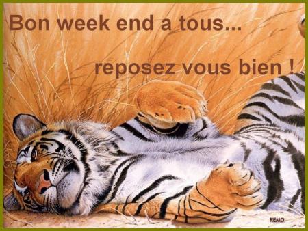 OU PA KAIL FEY ENKO LOL!!!!